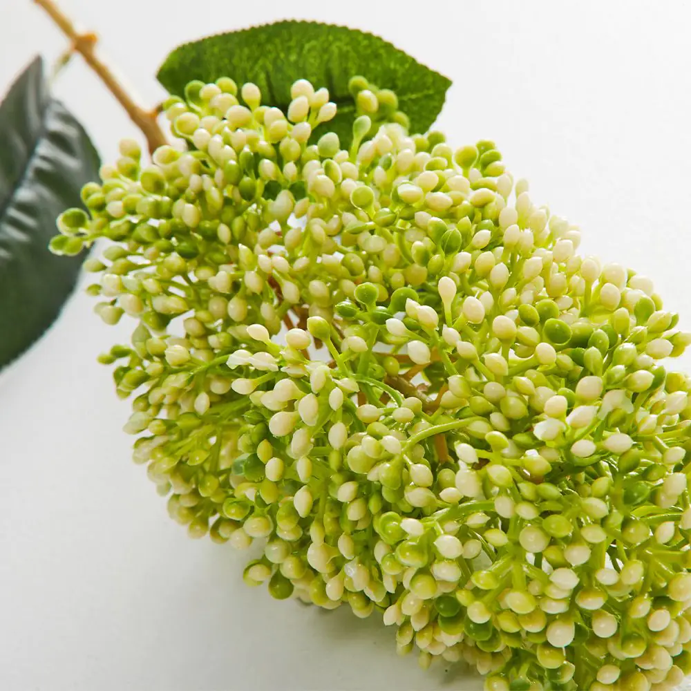 Green Skimmia Stem GREEN 5 Green Skimmia Stem GREEN - Image 3