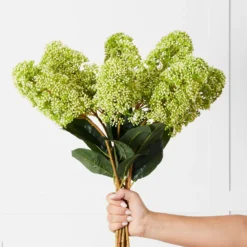 Green Skimmia Stem GREEN 9 Green Skimmia Stem GREEN -Provincialhomeliving 1117261951 d