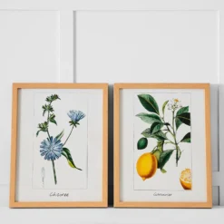 Chicoree Botanical Print 36x46 Multi-Color – Vibrant Nature-Inspired Study Wall Art 7 Chicoree Botanical Print 36x46 Multi-Color – Vibrant Nature-Inspired Study Wall Art -Provincialhomeliving 1117262428 c