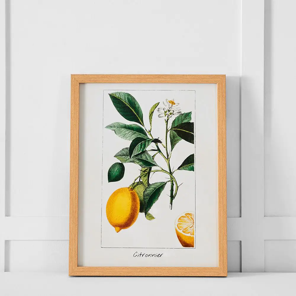 Citronnier Print 36x46 Multi 3 Citronnier Print 36x46 Multi