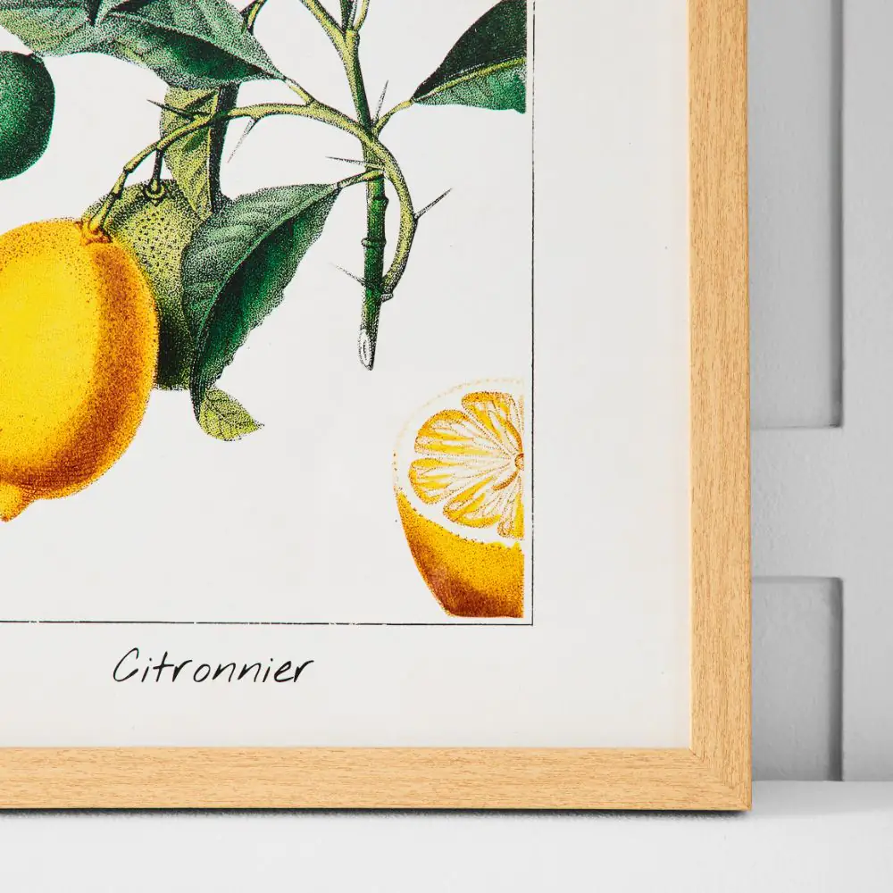 Citronnier Print 36x46 Multi 4 Citronnier Print 36x46 Multi - Image 2