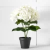 Potted Hydrangea Flower White -Provincialhomeliving 1117262483 a