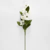 Dogwood Flower Stem White -Provincialhomeliving 1117262484 a