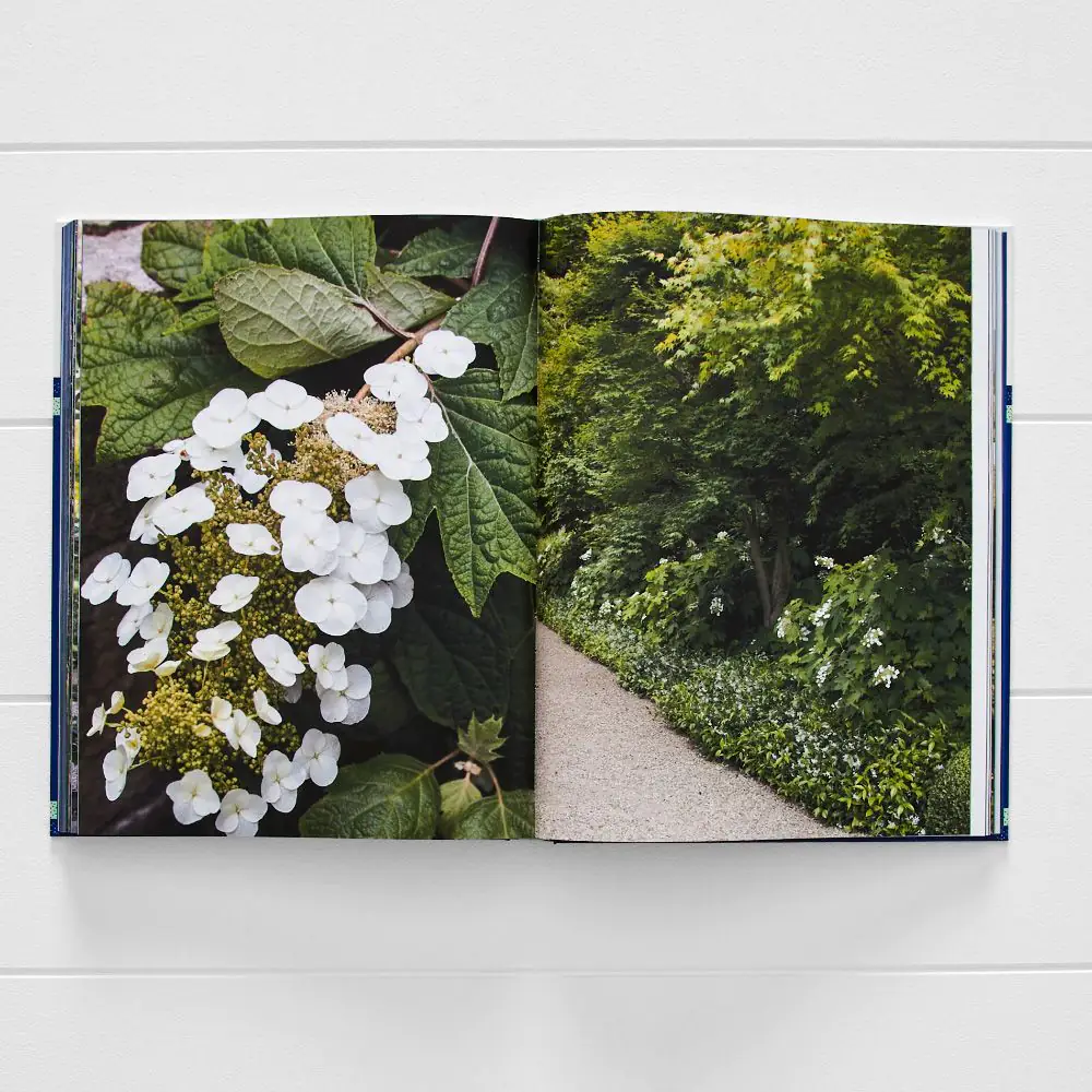 Paul Bangay Big Garden Design Blue & White 4 Paul Bangay Big Garden Design Blue & White - Image 2