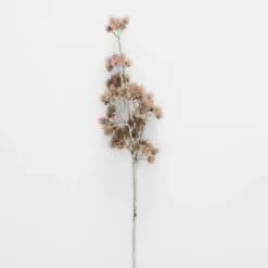 Flowering Gum Stem Natural