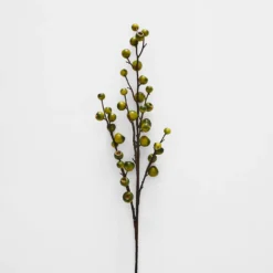 Green Berry Stem GREEN