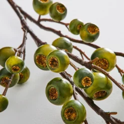 Green Berry Stem GREEN -Provincialhomeliving 1117262678 c