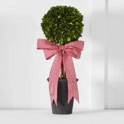 Boxwood Topiary Pot GREEN