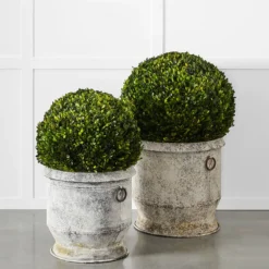 Boxwood Topiary 50cm GREEN -Provincialhomeliving 1117262706 c