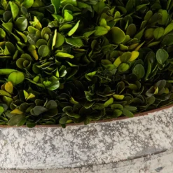 Boxwood Topiary 50cm GREEN -Provincialhomeliving 1117262706 d