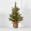Noelle Pine Tree 60cm GREEN -Provincialhomeliving 1117262756 a