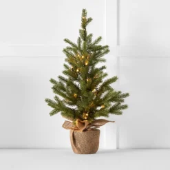Noelle Pine Tree 60cm GREEN