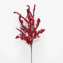 Berry Stem RED