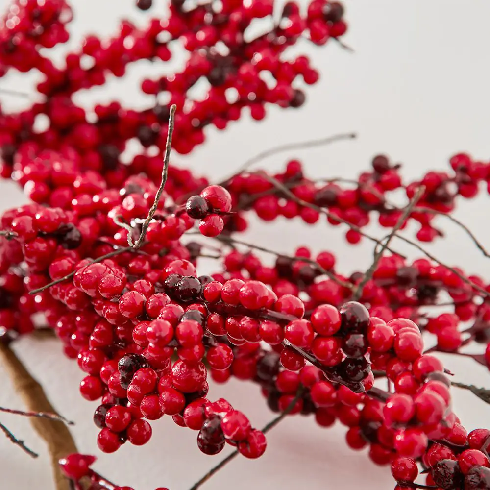 Berry Stem RED 4 Berry Stem RED - Image 2