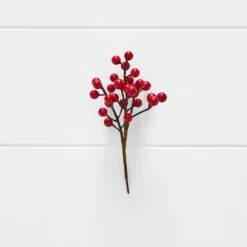 Noelle Berry Pick RED