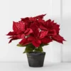 Noelle Poinsettia Pot RED 1 Noelle Poinsettia Pot RED -Provincialhomeliving 1117262795 a