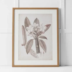 Tahitian Charm Print 60x76 Multi