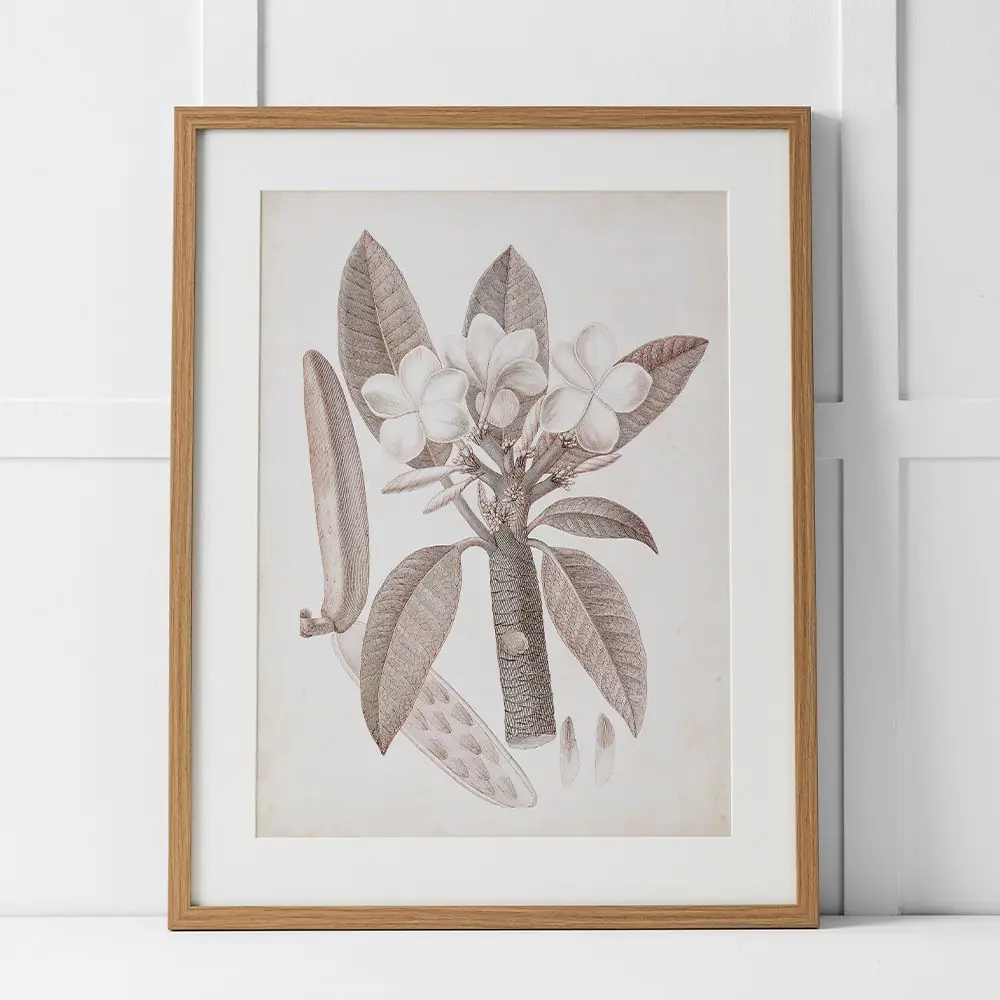 Tahitian Charm Print 60x76 Multi 3 Tahitian Charm Print 60x76 Multi