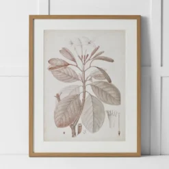 Plumeria Perfection Print 60x76 Multi