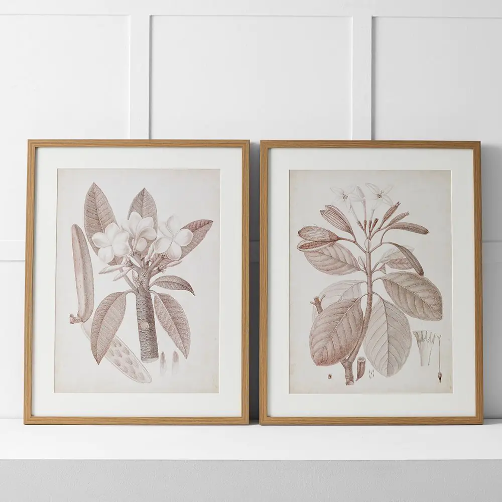 Tahitian Charm Print 60x76 Multi 5 Tahitian Charm Print 60x76 Multi - Image 3