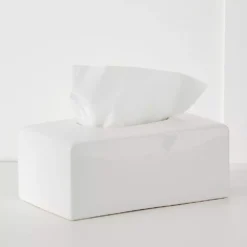 La Salle Tissue Box
